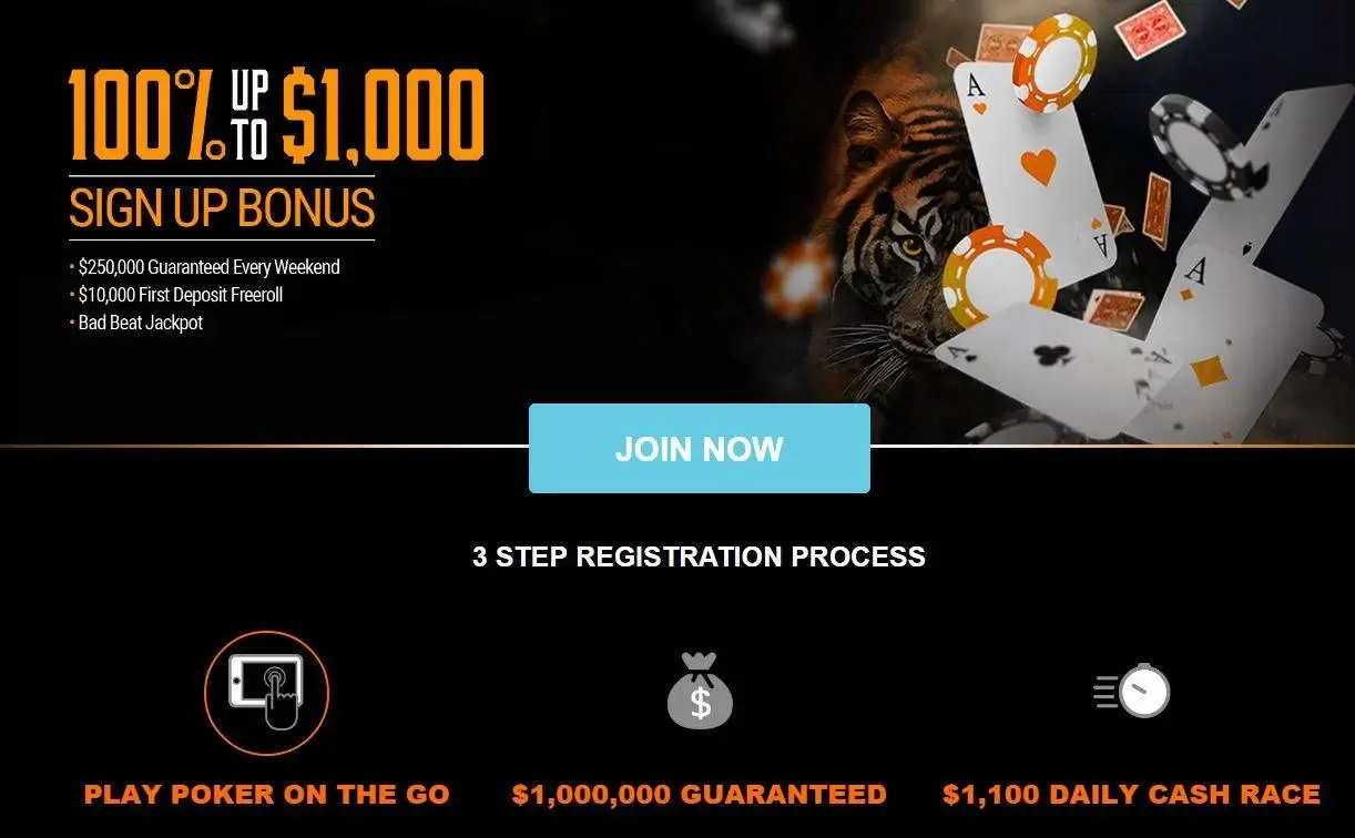 Best Casino Bonuses (November 2023): $10k+ in Promo Codes, Best Daily