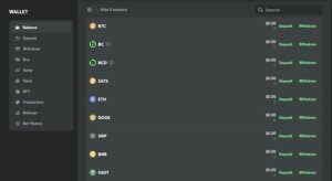 BC.Game Payment Methods