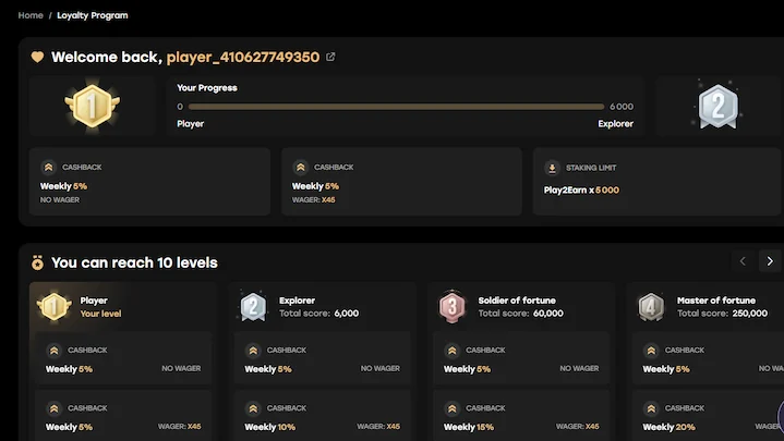 fairspin VIP program track progress levels