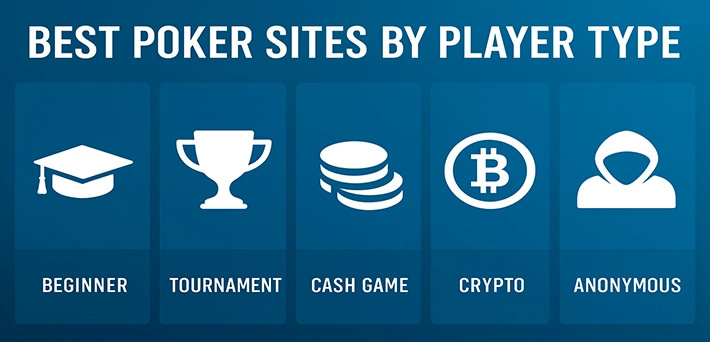 best online poker sites by player type