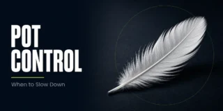 Pot control strategy featured image showing a single white feather resting on a dark surface, representing the deliberate restraint and light touch approach of checking back with medium-strength hands instead of building a big pot